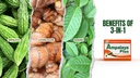 Ampalaya Plus 550mg 90 캡슐 - Banaba, Turmeric Ginger 및 Bitter Melon과 함께 1 팩 Ampalaya Plus - Halal 초본 보충