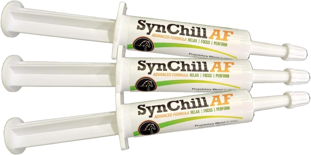 Nervous Horse 용 SynChill AF Calming Gel - 단일 서빙 - L-Theanine, 증가 된 Potency, 100 % 천연 보충, 분해 및 기여 지원 - 3 팩