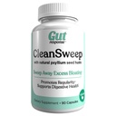 CleanSweep 캡슐, 건강한 Bowel 운동, 소화 건강 지원, 일반 촉진, 자연 심리학 씨앗 Husk, 매일 섬유 보충, 90 캡슐, 90 서빙