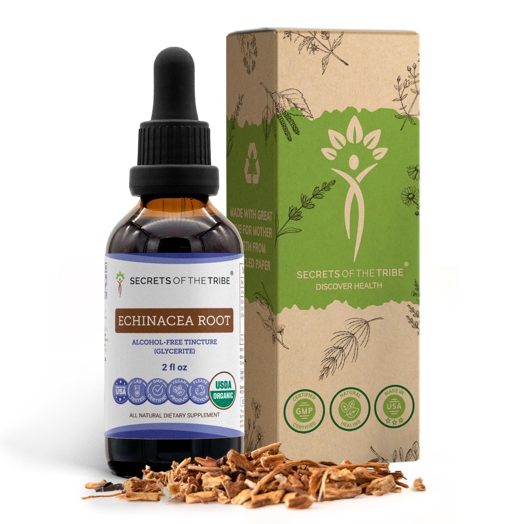 Echinacea Root USDA Organic Tincture | 알코올 프리 추출물, 고순도 허브 드롭, 면역 체계 건강 | 100 % 인증 유기농 Echinacea Root (Echinacea Purpurea) 2 oz