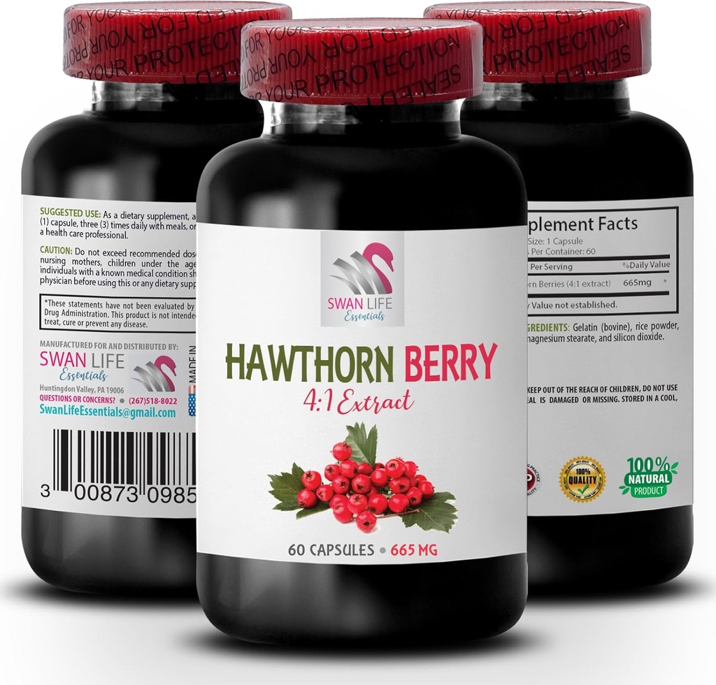 호손 베리 캡슐 - HAWTHORN BERRIES EXTRACT - 호손 추출물 보충, 호손 베리 추출물 캡슐, 베리 추출물 분말, 야생 베리 에너지, 호손 에너지 약 1 병 60 캡슐