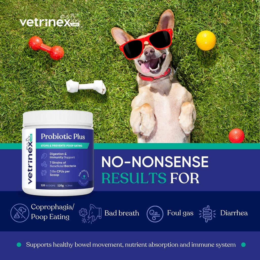 Coprophagia Poop Eating Deterrent & Prevention, Stop & Prevention Stool Eating Treatment - 개, 고양이 및 강아지를위한 Probiotics - Eating Poop의 Forbids Dog - Probiotic Powder (120 GMS)