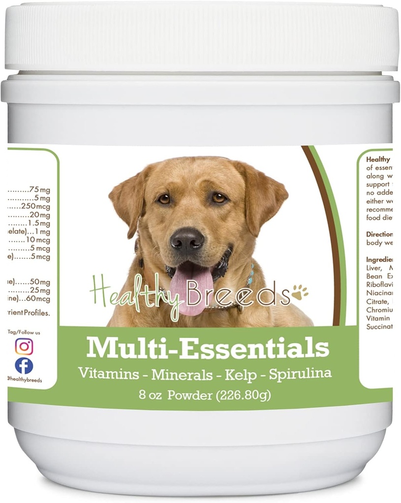 건강한 Breeds Labrador Searchr, 황금, 개를위한 다중 에너지 분말 - 당신의 개를위한 비타민, 미네랄 및 산화제의 이상적인 보충 - 8 oz