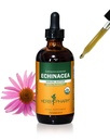허브제약은 면역 체계 지원, 유기 지팡이 알콜, 4 Ounce를 위한 유기 Echinacea 뿌리 액체 추출물을 증명했습니다