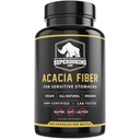빠른 행동, 유기 Acacia Senegal 섬유 캡슐 300pk. 자연적인 녹는 섬유 보충교재 알약. Vegan Prebiotic 캡슐.