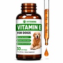 비타민 E 개 | 비타민 E 개 | 비타민 E 개 | Dog Vitamin E | 비타민 E 개 | 비타민 E 보충교재 | 비타민 E 기름 개 | Dog Vitamin | Dog Vitamin | Dog Immune Support | 1 fl oz