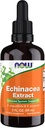 지금 식품 보충제, Echinacea 추출 액체 드롭퍼, 면역 시스템 지원 *, 2-Ounce