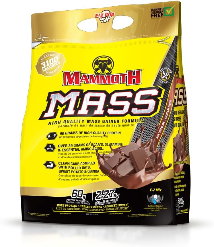Mammoth 질량: 무게 게인, 높은 칼로리 단백질 분말 운동 스무디 Shake, 낮은 설탕, Whey Isolate 농축물, Casein 단백질 혼합, 무게 훈련, 높은 단백질 (Chocolate, 5lb)