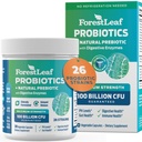 남자와 여자를 위한 프로바이오틱스, 100억 CFU, 26개의 유일한 Strains, 남자와 여자의 Probiotics 및 Prebiotics 지원 소화 건강, Gut Wellness, 에너지, 무드, 면역, PH 균형 (30 모자)