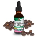 Nature's Answer Saw Palmetto Berry Extract 유기농 알코올, 1-Fluid Ounce | 지원 전립선 건강 | Minimize Hair Loss | 유지 건강한 Bladder