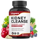 23-in-1 Kidney Cleanse Detox & Repair with 50:1 Cranberry Extract | Urinary Tract Wellness의 식물 공식 | 60 캡슐