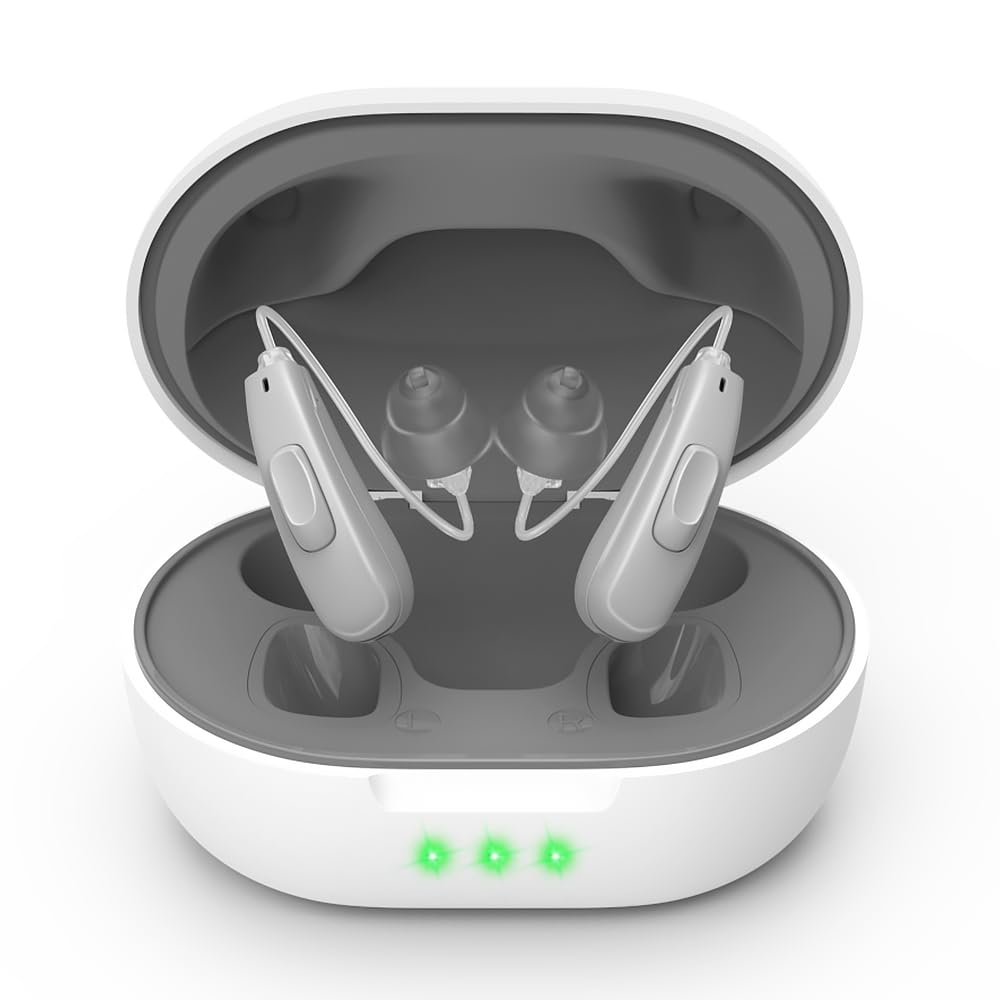 True Hearing Aids (Not 증폭기) 11 Channals 직업적인 재충전용 방수 보청기는 소음을 가진 Serve를 위한 보청기를 취소합니다 자석 위탁 상자 (회색)를 가진 보청기