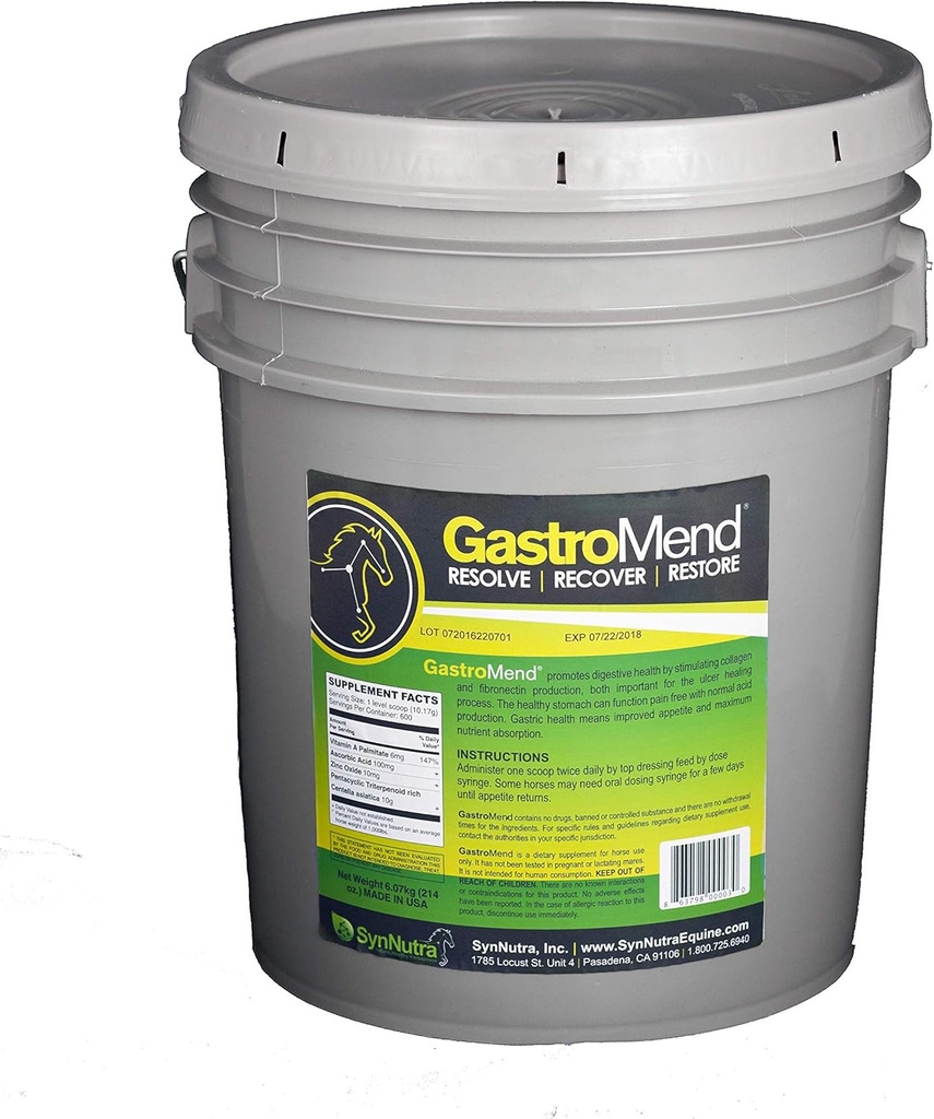 SynNutra GastroMend (GastroMend - 600 복용량 버킷) 100 % 천연