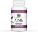 허브 Emporium Alfalfa (Medicago Sativa L, Alpalpa) 캡슐 90 야채 캡슐 (340 mg) 건강한 소화를위한 초본 보충 (팩 1)