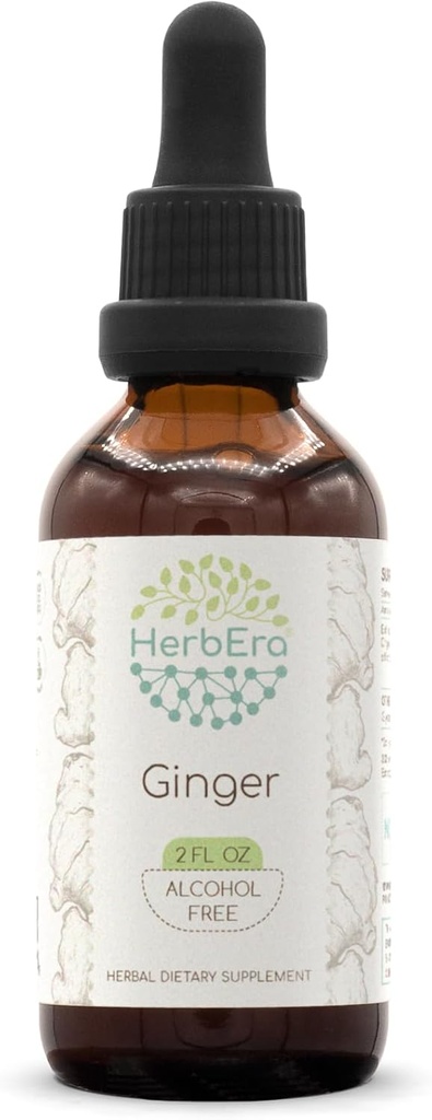 HerbEra Ginger B60 알콜 자유로운 초본 추출물 Tincture의 최고 집중된 Ginger (Zingiber officinale) 2개 fl oz
