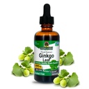 Nature 's Answer Alcohol Free Ginkgo Biloba Leaf Extract, 2 Ounce, 2 Count | 건강한 두뇌 지원 | Cognitive Function 향상 | Mental Clarity | Natural Focus Aid
