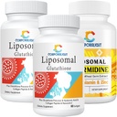 Liposomal Glutathione 보충교재, Liposomal spermidine 보충교재