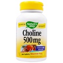 NATURE'S WAY 콜린 500mg 100 정제