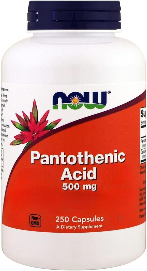 지금 음식, Pantothenic 산, 500 mg의 250의 캡슐