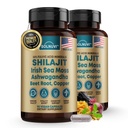 Shilajit 아일랜드어 Sea Moss, Ashwagandha, Copper, Beet Root - Fulvic Acid Trace Minerals Supplement for Men & Women - 90 Count, Non-GMO, 글루텐 프리