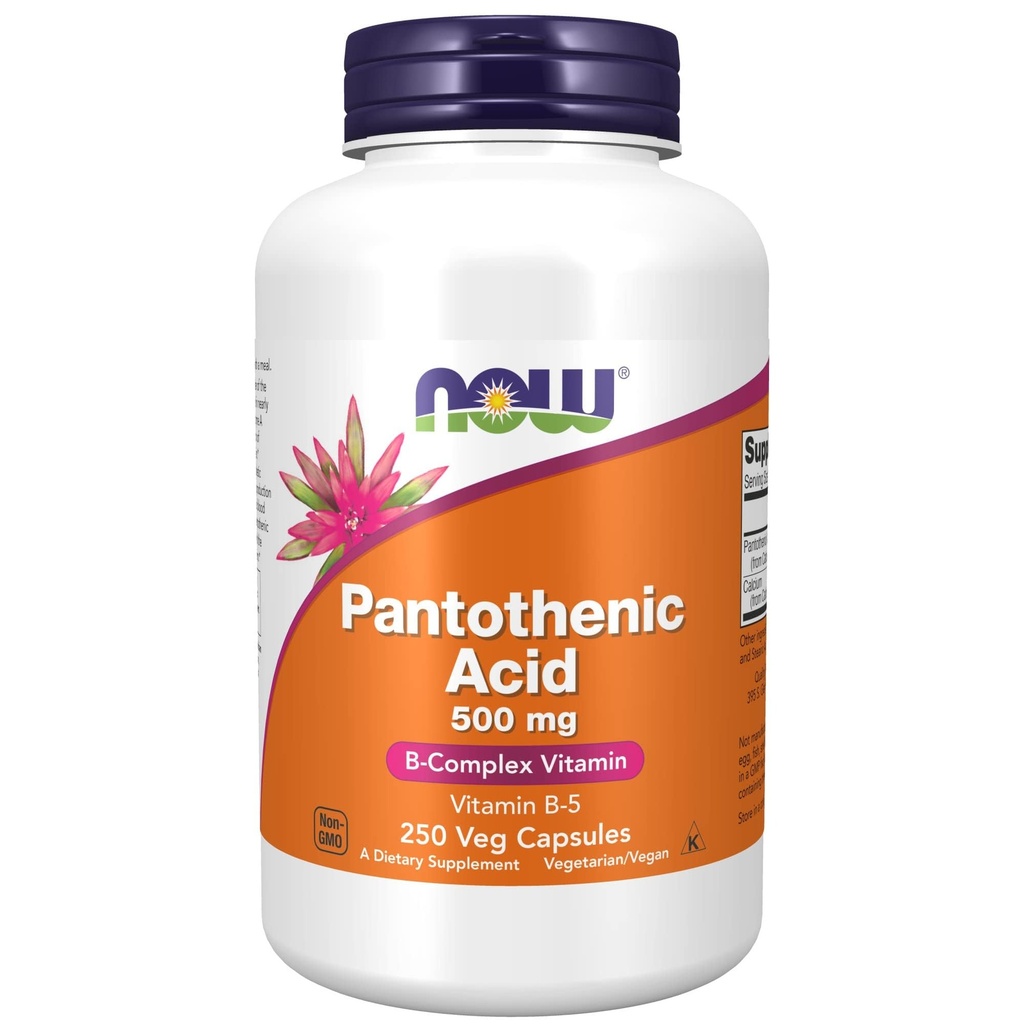 지금 음식 보충교재, Pantothenic 산 (비타민 B-5) 500 mg, B 혼합 비타민, 250의 캡슐