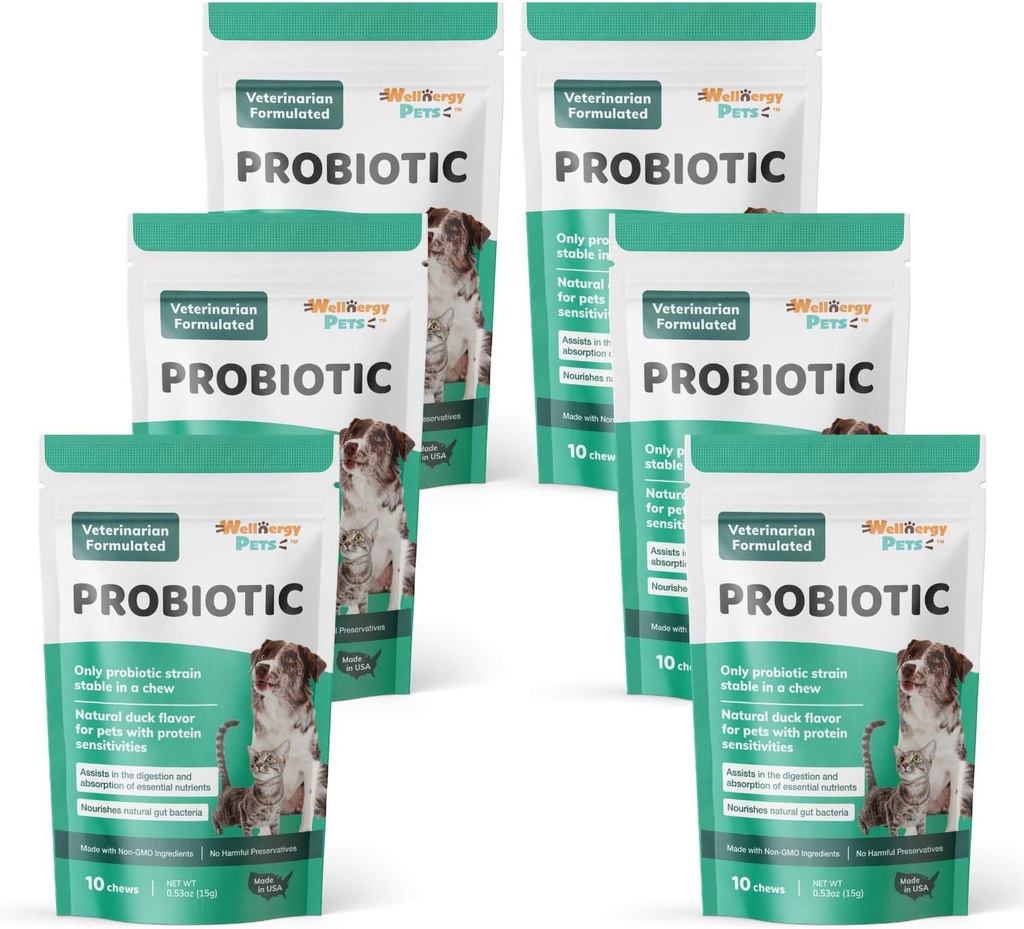 Wellnergy Daily Probiotic & Prebiotics Soft Chew for Dogs & Cats - Diarrhea, Constipation, Upset Stomach, Indigestion & Gas - 소화, 알레르기 피부 및 면역 건강 60ct에 대한 소화 지원