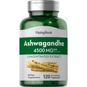 Piping Rock Ashwagandha 캡슐 | 120 개 | 블랙퍼추출물과의 초본 보충 | 여성과 남성 | Non-GMO, 글루텐 프리