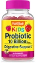 WellYeah Probiotics for Kids Gummies -10 Billion CFU - Gut Health, Immune Health and Digestive Support - Berry flavor Chewable Supplement - Vegan, Non GMO, 글루텐 무료 키즈 Probiotic -60 Gummies