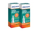 Zicam Intense Sinus Relief No-drip 액체 Nasal 스프레이 냉각 Menthol & Eucalyptus, 0.5 Ounce (2의 포장)