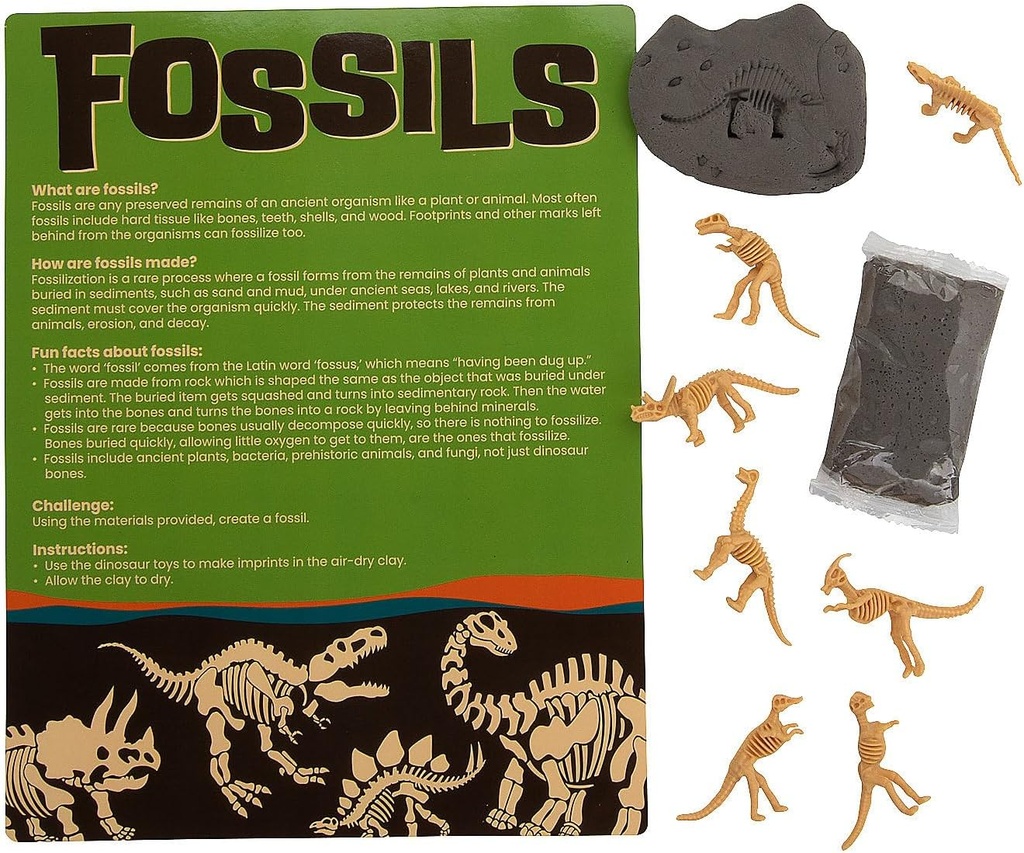 Fun Express는 자신의 Fossil 공예 키트를 만드십시오 - 12을 만드십시오