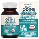 바다 야채 단지, 전체 음식 & 원료에서 유기 이오닌 보충 - Iodine Plus Trace Mineral Complex - 가장 순수한 아이슬란드어 Sealp Ke, 아일랜드어 Moss & Bladderwrack (250 mcg) 포함