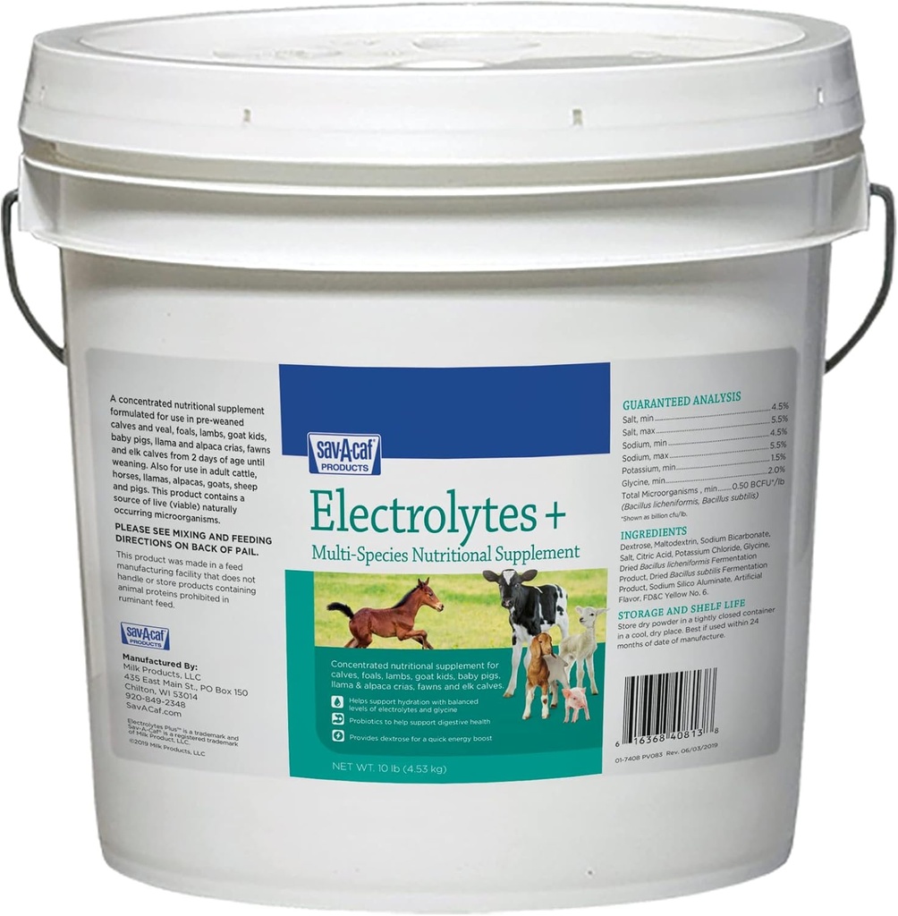 633011 Electrolytes 플러스 다 명세 보충교재, 10 lb