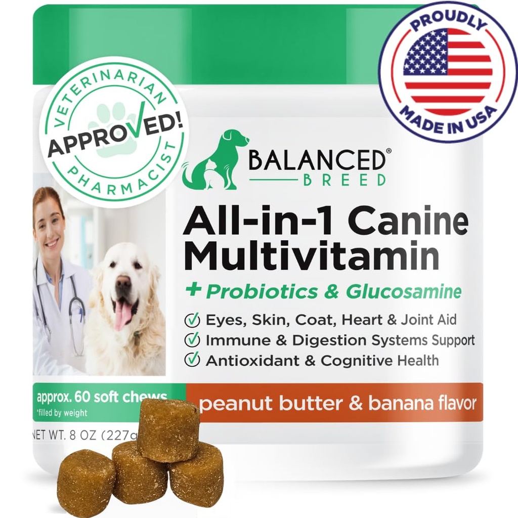균형 잡힌 All-in-1 개 비타민 보충제 미국 Vet-Pharmacist 승인 된 개 Multivitamin Probiotics Glucosamine Chondroitin Dogs Salmon Oil Skin Coat Immune 수석 개 보충교재 NonGMO