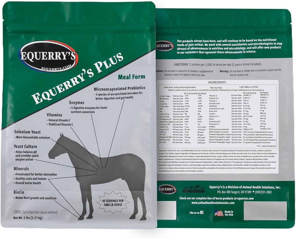 Equerry's Plus Horse Supplement - 소화, 비타민 및 미네랄을위한 Probiotics와 향상된 지원 - 미국 - 5 lb