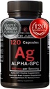 알파 GPC 보충 & 하이퍼 흡수를 위한 BioPerine - 120 조사, 서빙 당 알파 GPC 600mg - 기억, 초점, 에너지, & 드라이브를 위한 Nootropics - 미국에서 만드는 Boost Acetylcholine에 콜린 보충교재