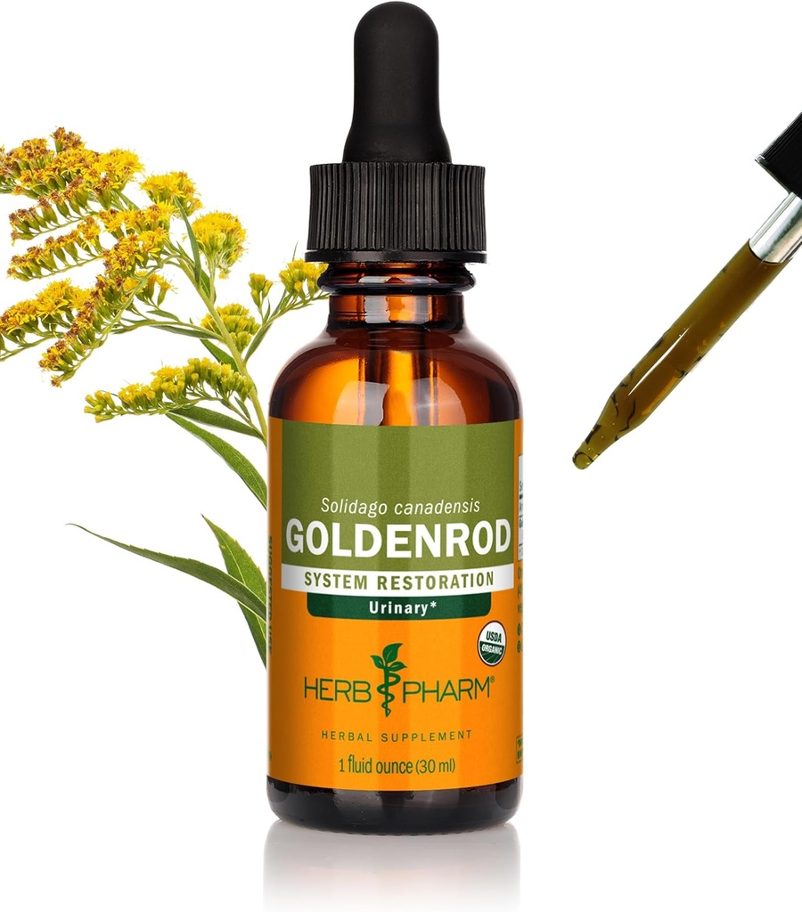허브 Pharm 인증 유기 Goldenrod 액체 추출 물 Urinary 시스템 지원, 1 Fl Oz (패킹 1)