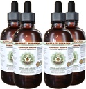 하와이 Pharm 오레곤 포도 알코올 무료 액체 추출, 오레곤 포도 (Mahonia aquifolium) 건조 루트 글리세리 자연적인 초본 보충, 미국 4x4 fl.oz