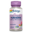 SOLARAY 심황 보충교재 300 mg - 95% Curcumin를 가진 심황 뿌리 추출물 - 합동 건강과 안락을 위한 합동 지원 보충교재 - 비 GMO, Vegan, 글루텐 자유로운, 60 일 보장, 60의 서빙