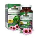 자연의 답변 Echinacea & Goldenseal | 다이어트 보충 | 건강한 면역 체계 지원 | 비 GMO & Kosher 인증 | 채식 / 채식 캡슐 90ct