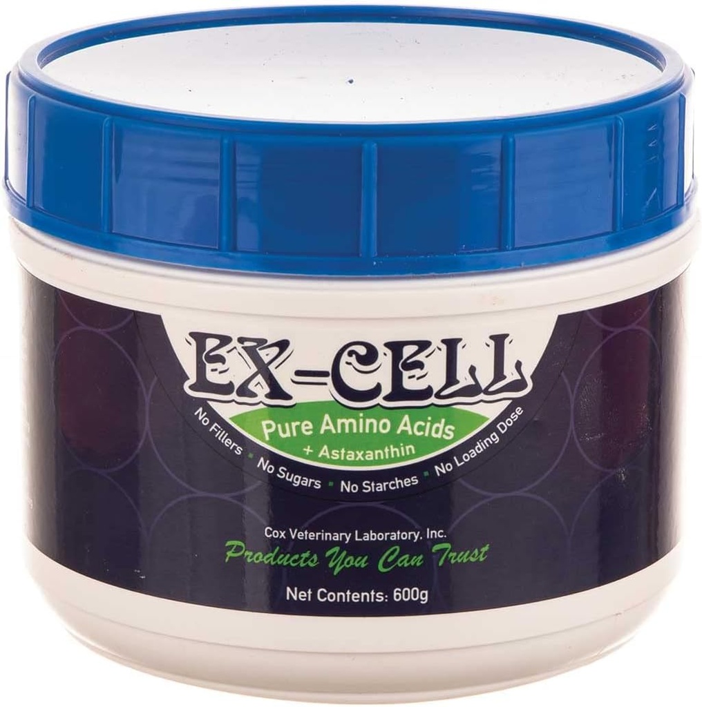 Ex-Cell 순수한 아미노산 분말 600g
