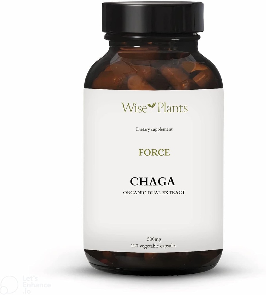 차가 버섯 보충. 이중 추출물, 순수한 과일 몸, 30% 다당류, 500 mg, 120의 vegecaps (120 일 공급). 건강한 소화, 면역 기능을 지원하고 심장 건강을 승진시킬 수 있습니다.