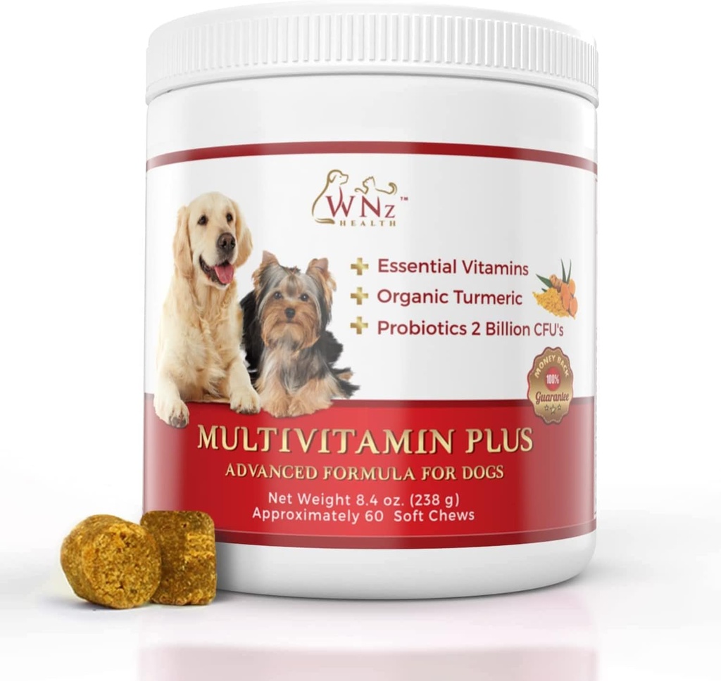 개 Multivitamins 및 보충 교재, 개 w/Turmeric & Yucca의 뇌 기능, Gut & 면역 지원, 합동 건강 & 반대로 염증 보충교재, 60 Chews, 8.4 oz를 위한 Probiotic 개 Chews