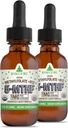 RawGuru Methylfolate 1mg+ Vitamin B12 - Trace Minerals - 나노 가공 및 향상된 액체 포뮬러 - 30 ml 당 Vegan Drops의 300 서빙, 2 팩