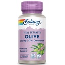 SOLARAY 올리브 잎 추출물 보충교재, 250mg | 60 조사