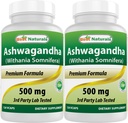최고의 자연 2 팩 Ashwagandha 캡슐 휴식 스트레스와 무드, 500 mg, 120 조사 (총 240 캡슐)