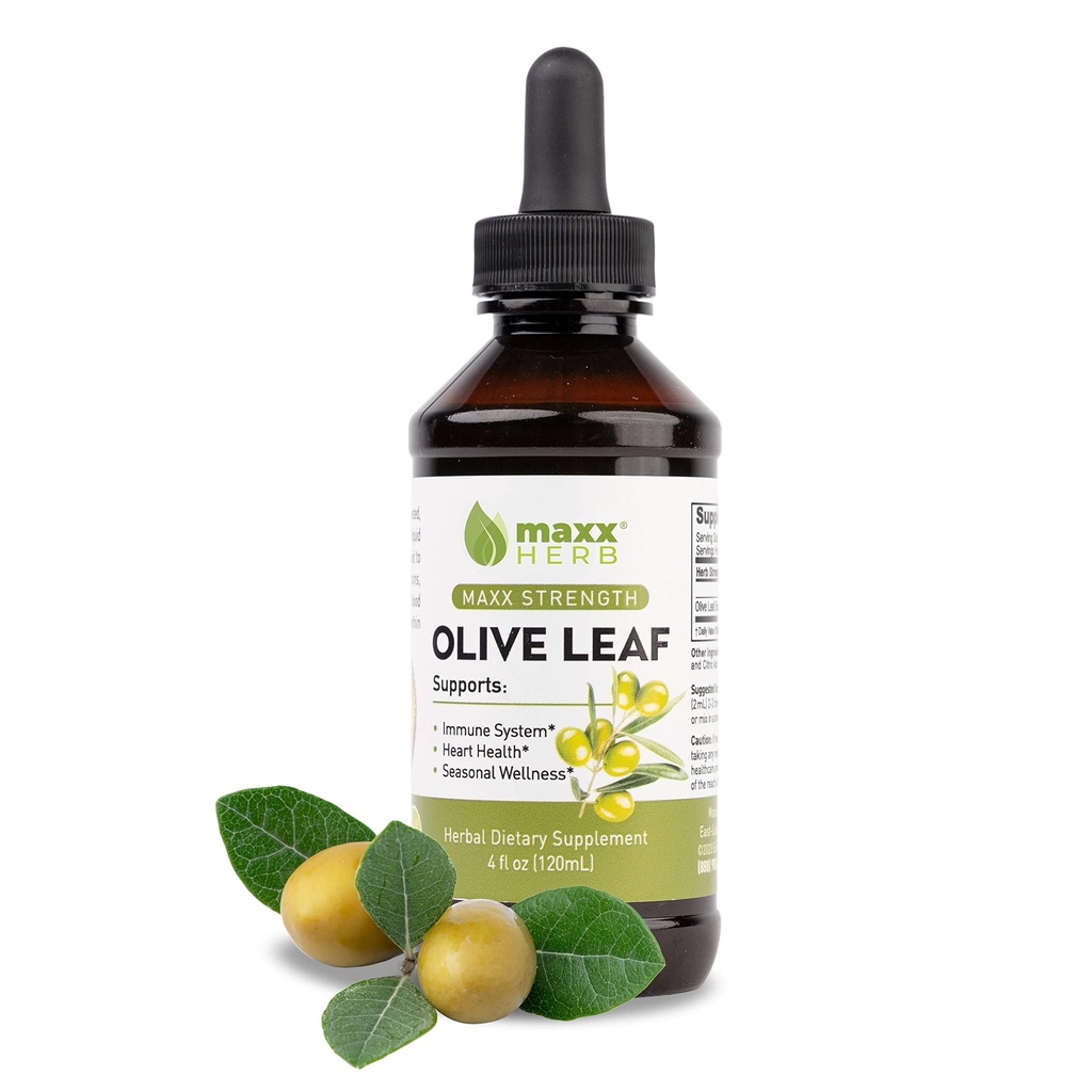 Maxx Herb Olive Leaf Extract – 최대 강도 Oleuropein 액체는 캡슐 또는 차보다 더 잘 흡수합니다. 면역 지원, 심장 건강 및 계절 웰빙 - 4 Oz Bottle (60 서빙)