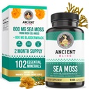 고대 블리스 유기농 아일랜드어 바다 모스 알약 - Sebi Wildcrafted Seamoss 캡슐 박사 | Thyroid, Healthy Skin & Gut Support | 120 캡슐