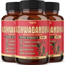 3 팩 60 캡슐 - Ashwagandha 보충교재 5200mg - 생강, 심황, Rhodiola Rosea & 검정 고추를 가진 5in1 - stamina & 몸 건강 지원 - 6 달 공급