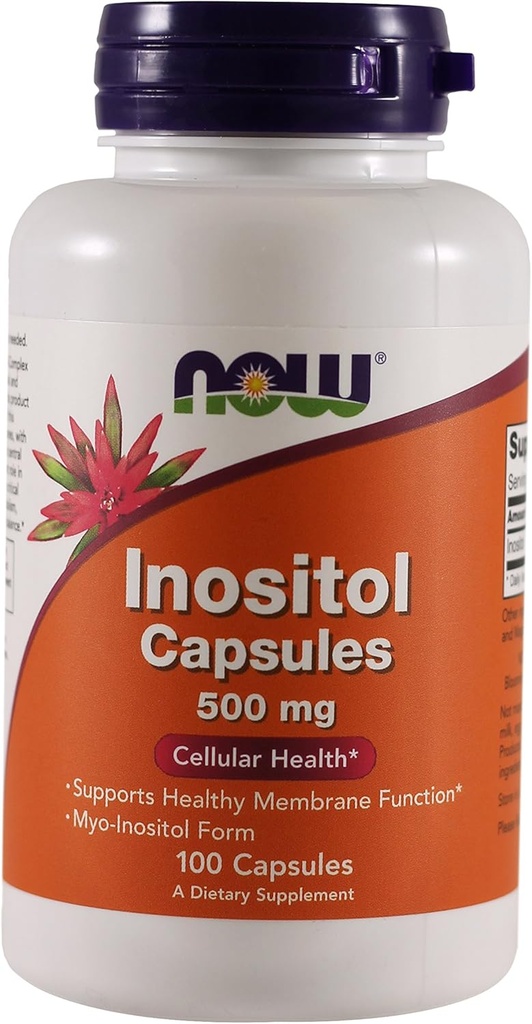 지금 음식 Inositol 500 밀리그램 100 캡슐 (2 팩)