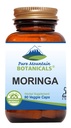 순수한 산 식물 Moringa 잎 캡슐 - 1000mg 유기 Moringa - 녹색 Moringa Oleifera Superfood 보충교재를 가진 Kosher Vegan 공식